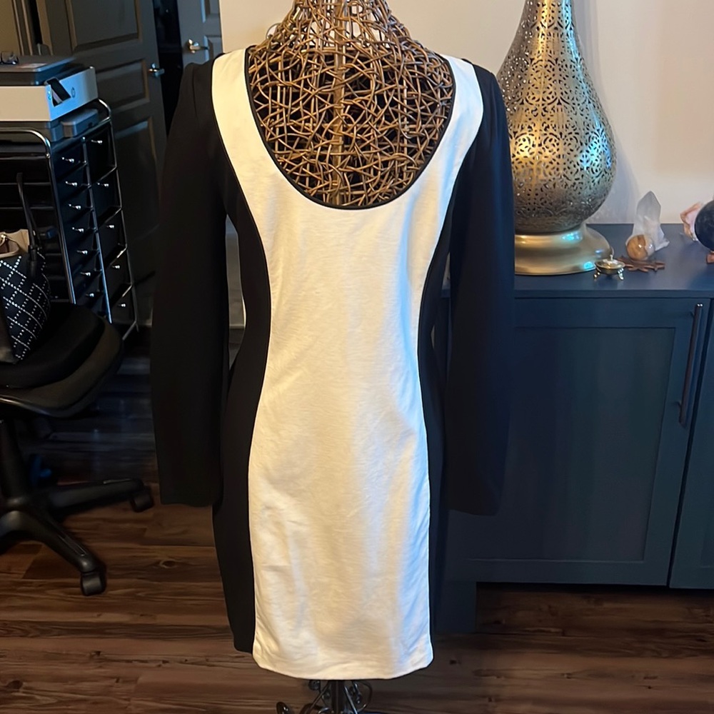 Banana Republic color block dress